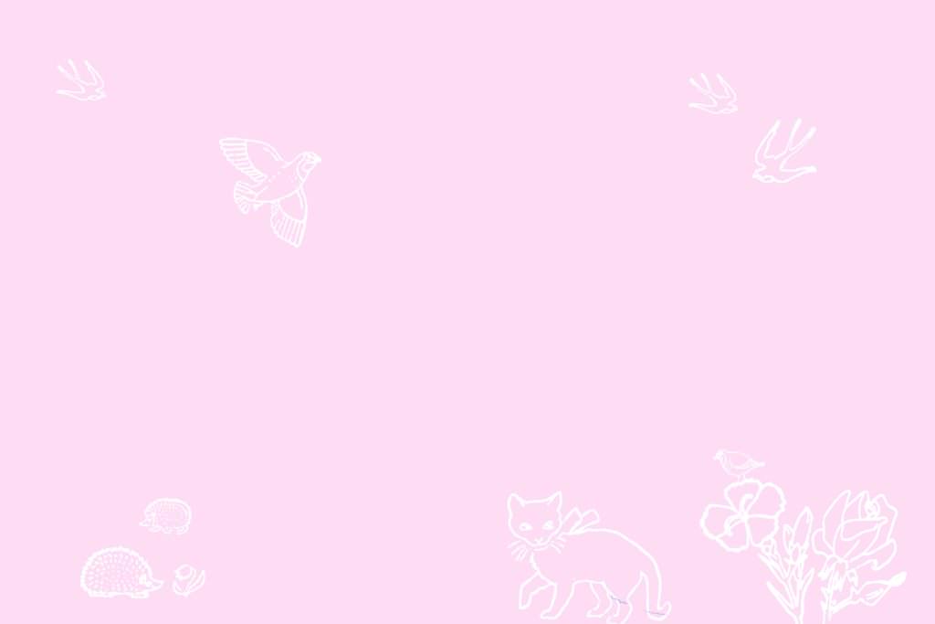 Faire Part Solene Tardivon