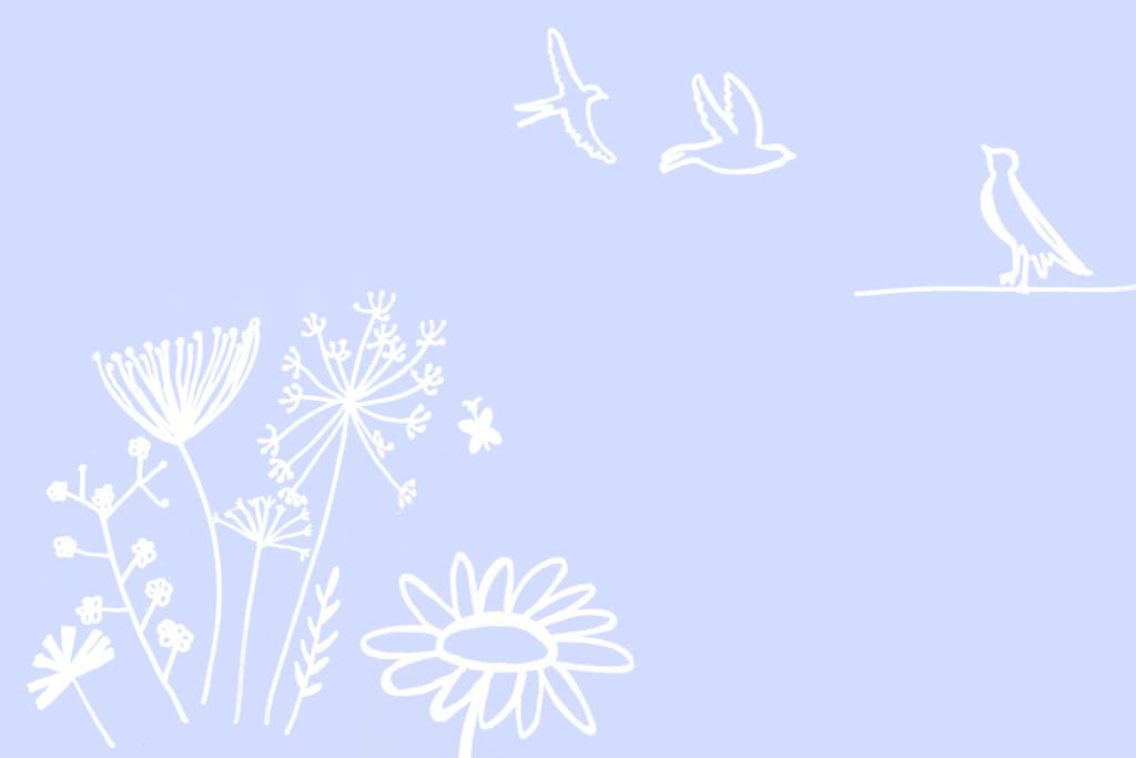 Faire Part Solene Tardivon