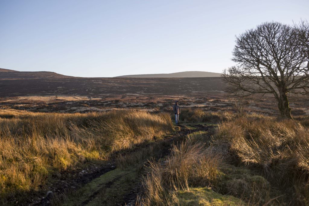 Voyage Irlande Solene Tardivon Photographe