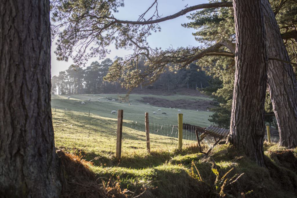 Voyage Irlande Solene Tardivon Photographe
