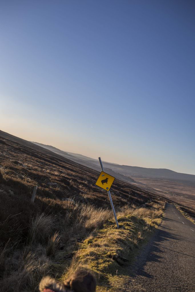 Voyage Irlande Solene Tardivon Photographe