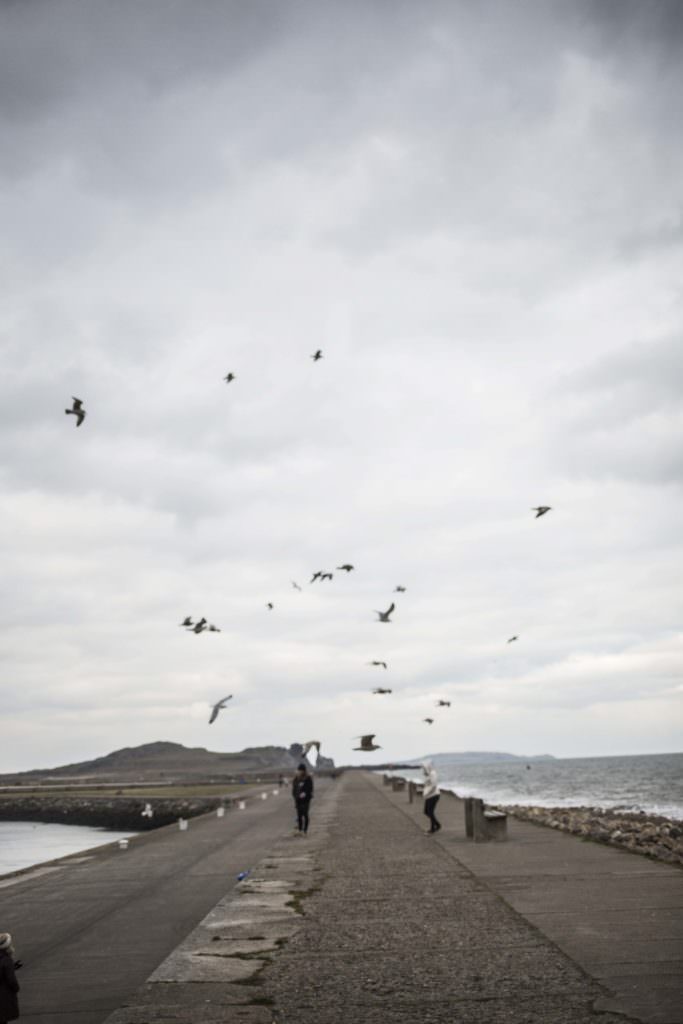 Voyage Irlande Solene Tardivon Photographe